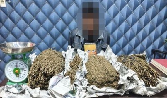 Polres Aceh Barat amankan 3,1 kilogram ganja siap edar