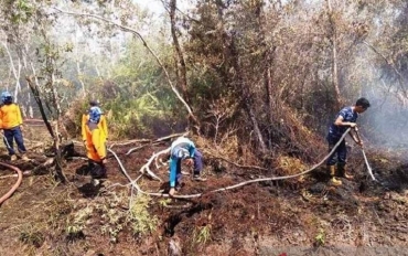 Pemerintah Perkuat Mitigasi Karhutla di Sumatra, Kalimantan, Hingga Jawa