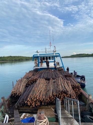 DITPOLAIRUD POLDA KEPRI GAGALKAN PENYELUNDUPAN 12.000 BATANG KAYU BAKAU KE SINGAPURA