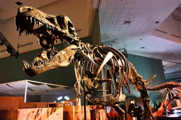 Liburan Seru Bersama Dinosaurus Di Science Singapore