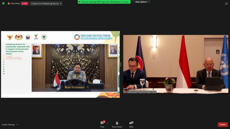 Dalam High Level Political Forum UN-ECOSOC, Menko Airlangga Tegaskan Penyediaan Minyak Nabati Global Harus Holistik dan Nondiskriminatif